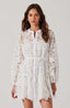 Crochet Lace Mini Dress / White
