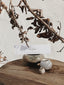Smokeless Ritual Incense / Purify