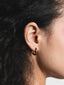 Rowan Hoop Earrings