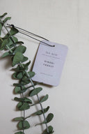 Air Freshener / Hinoki Forest