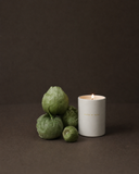 Perfumed Votive Candle / Tomate Dehesa